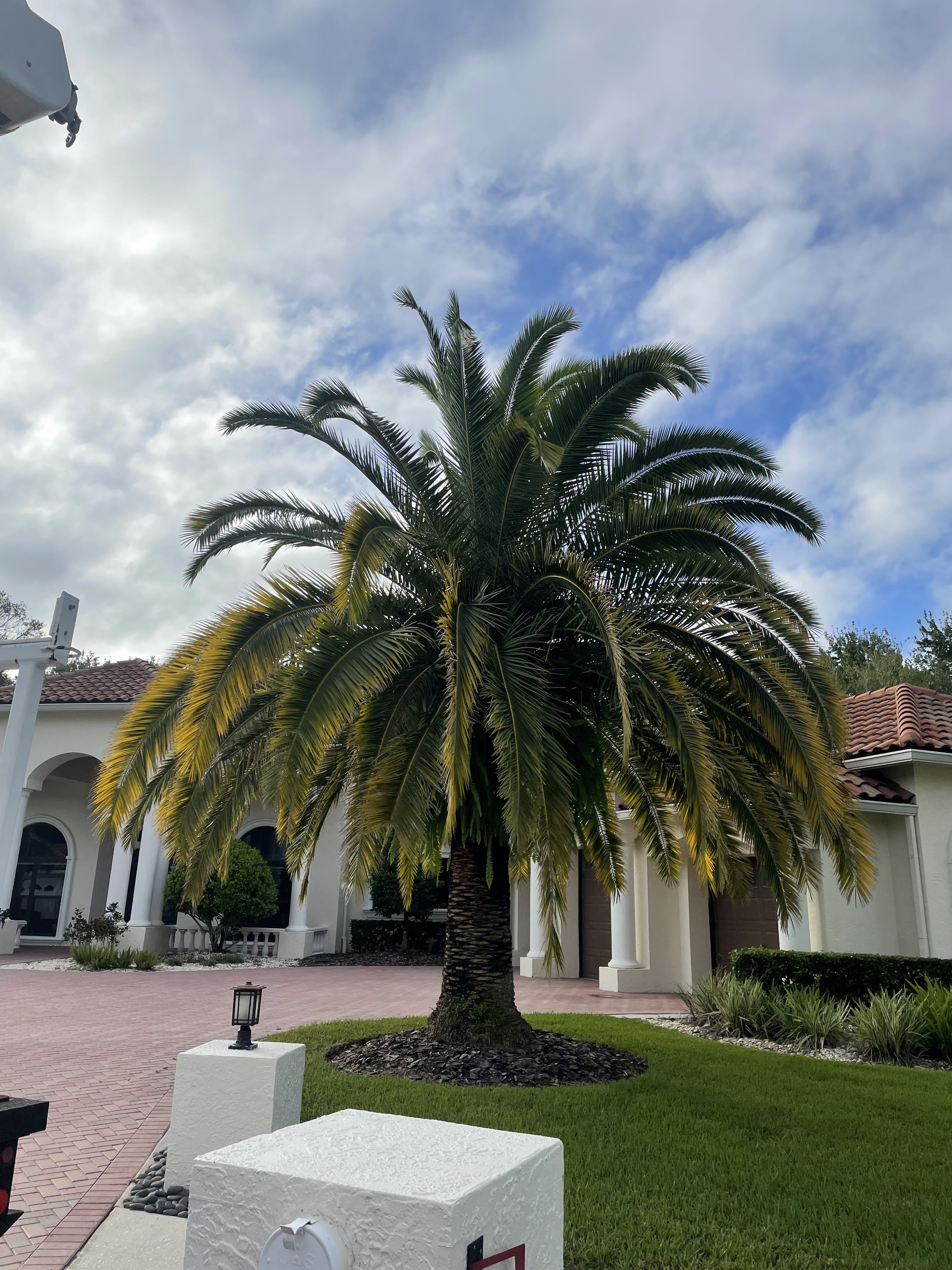  for EB Trees and Landscape in Holiday, FL