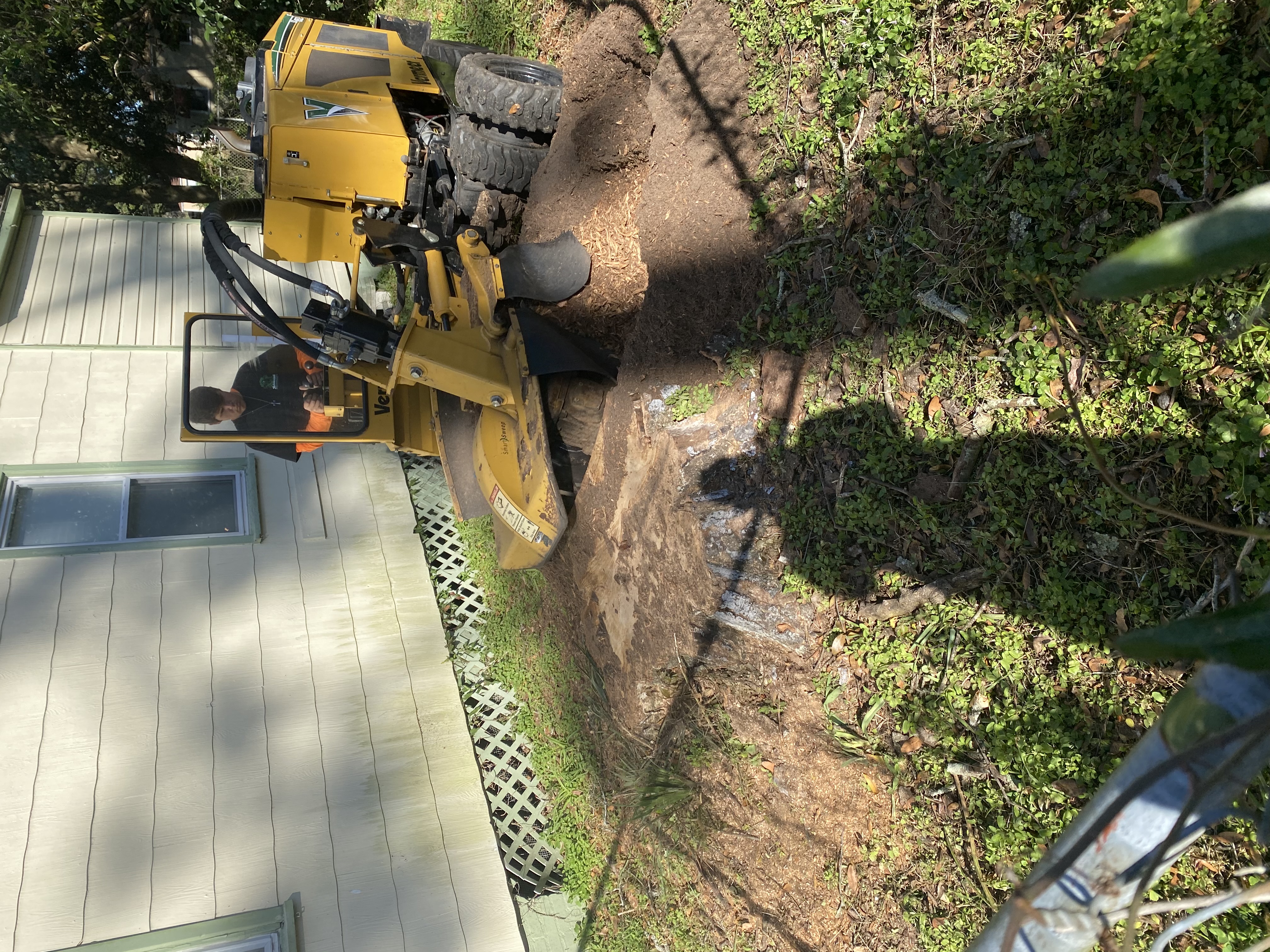  for Elite Tree & Landscape Services LLC in St. Augustine, FL