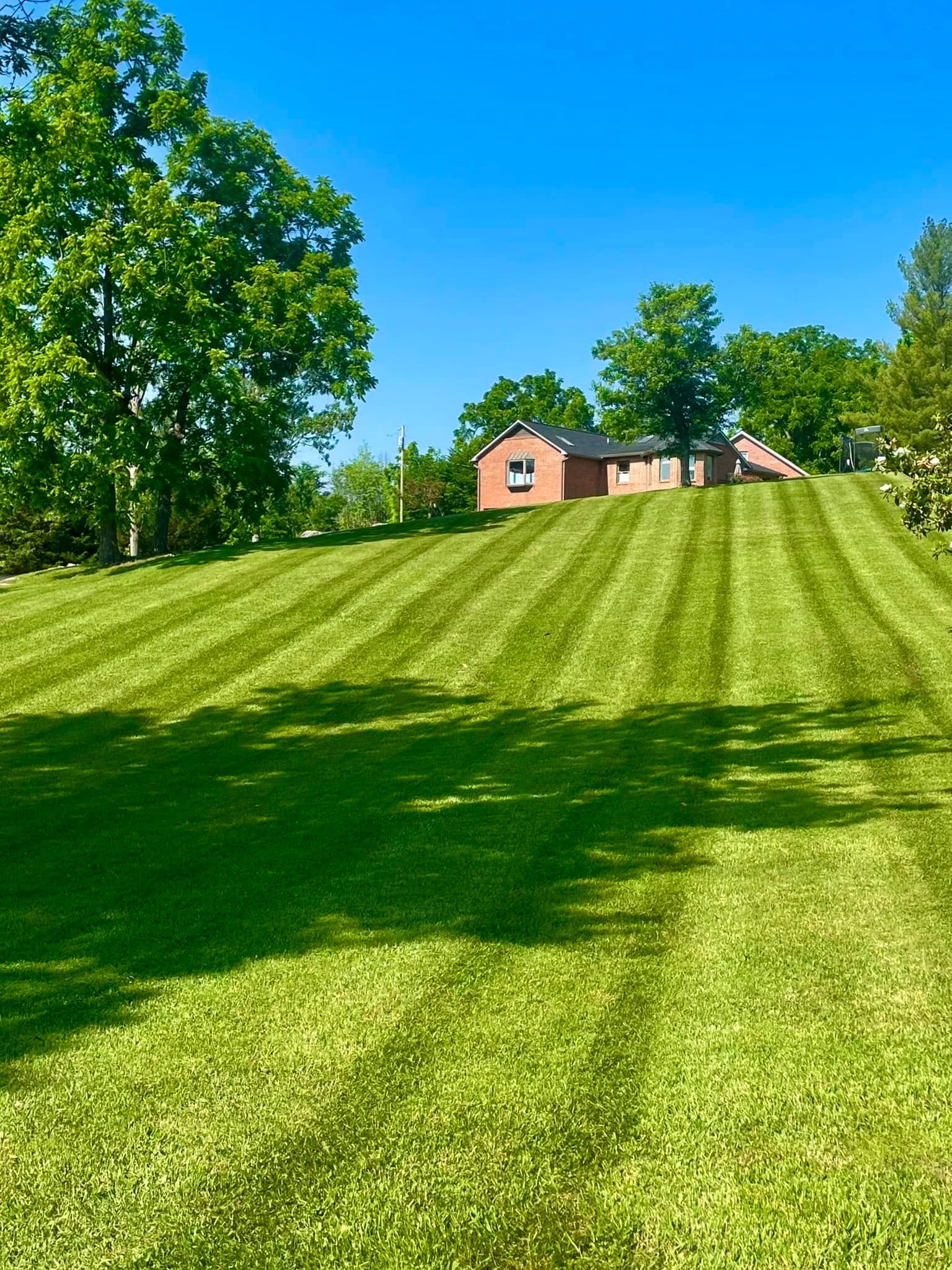  for Diamond Lawn & Land Maintenance in Jonesborough, TN