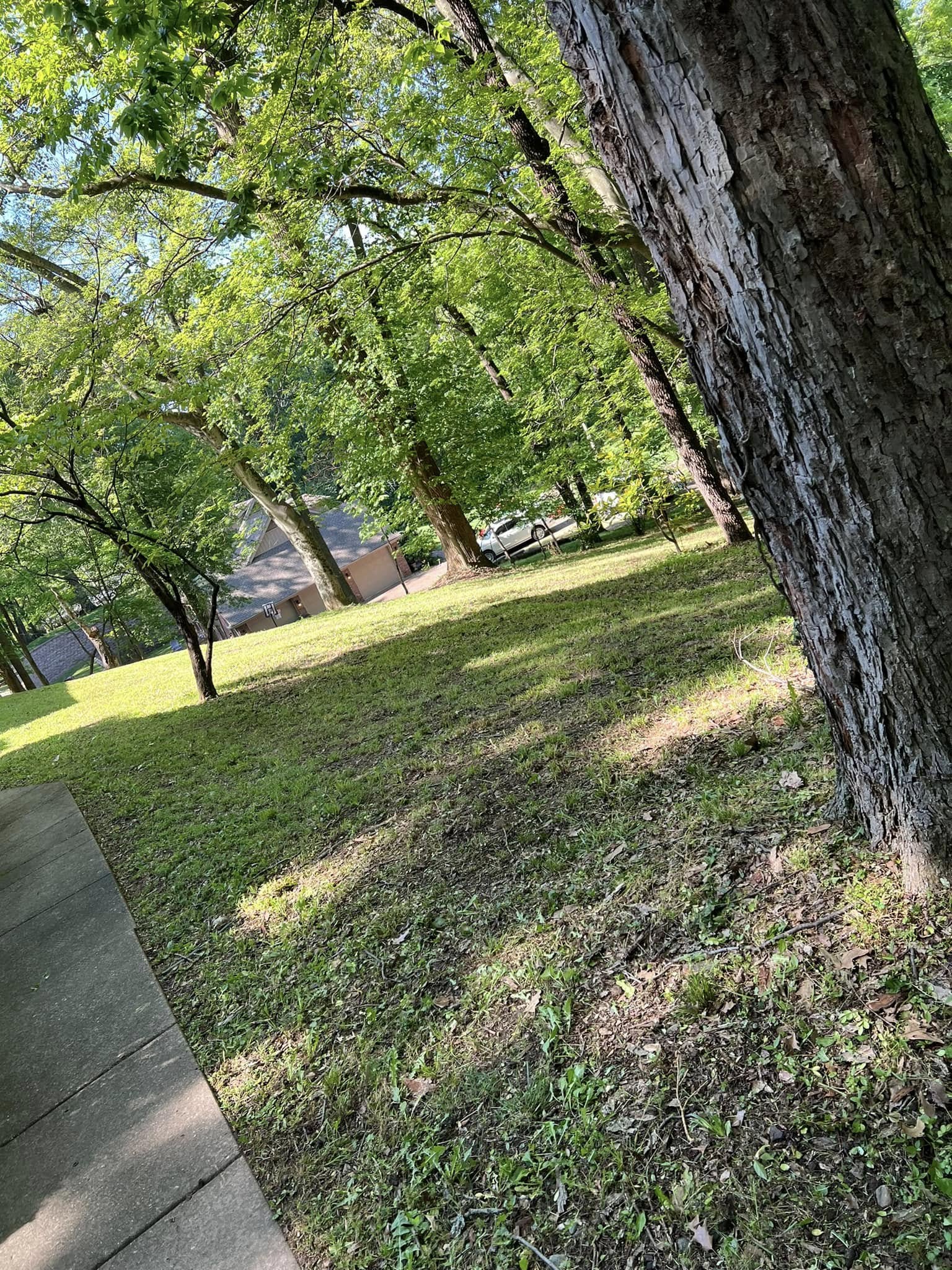  for New Outlook Lawncare in Henderson County, KY