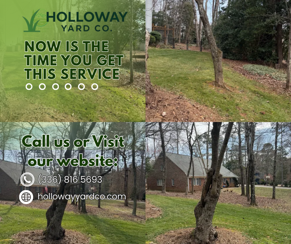  for Holloway Yard Company in Winston-Salem, NC