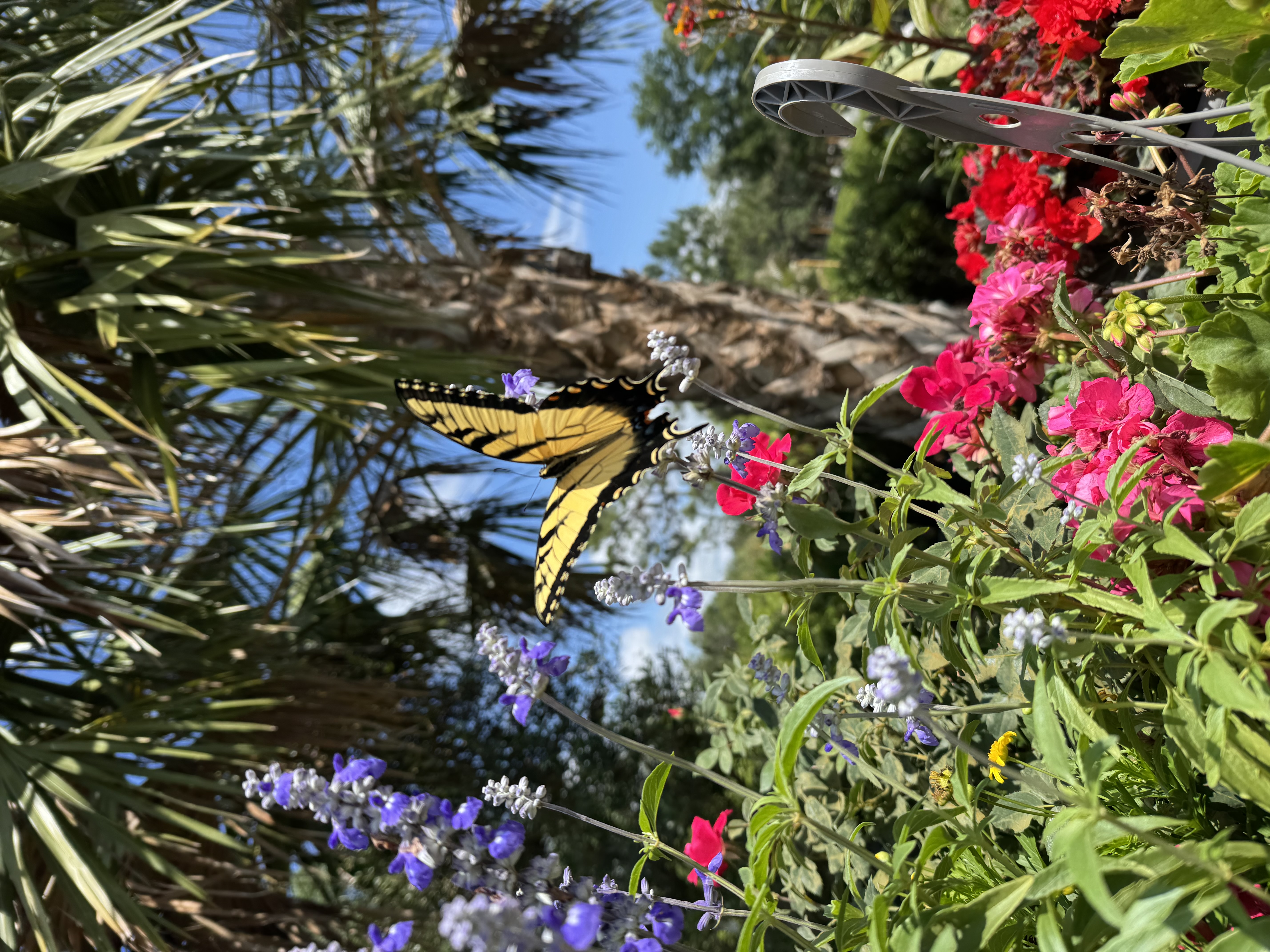  for Southern Roots Tree Farm in Crystal River, FL