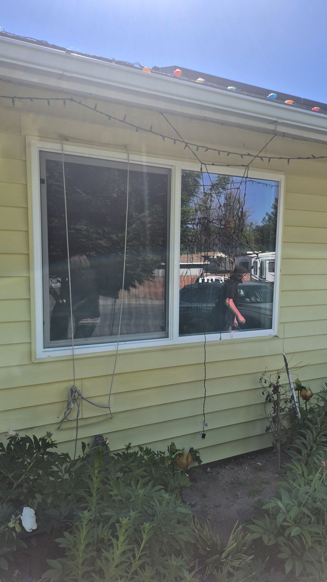  for Vivid Windows in Centerville, UT