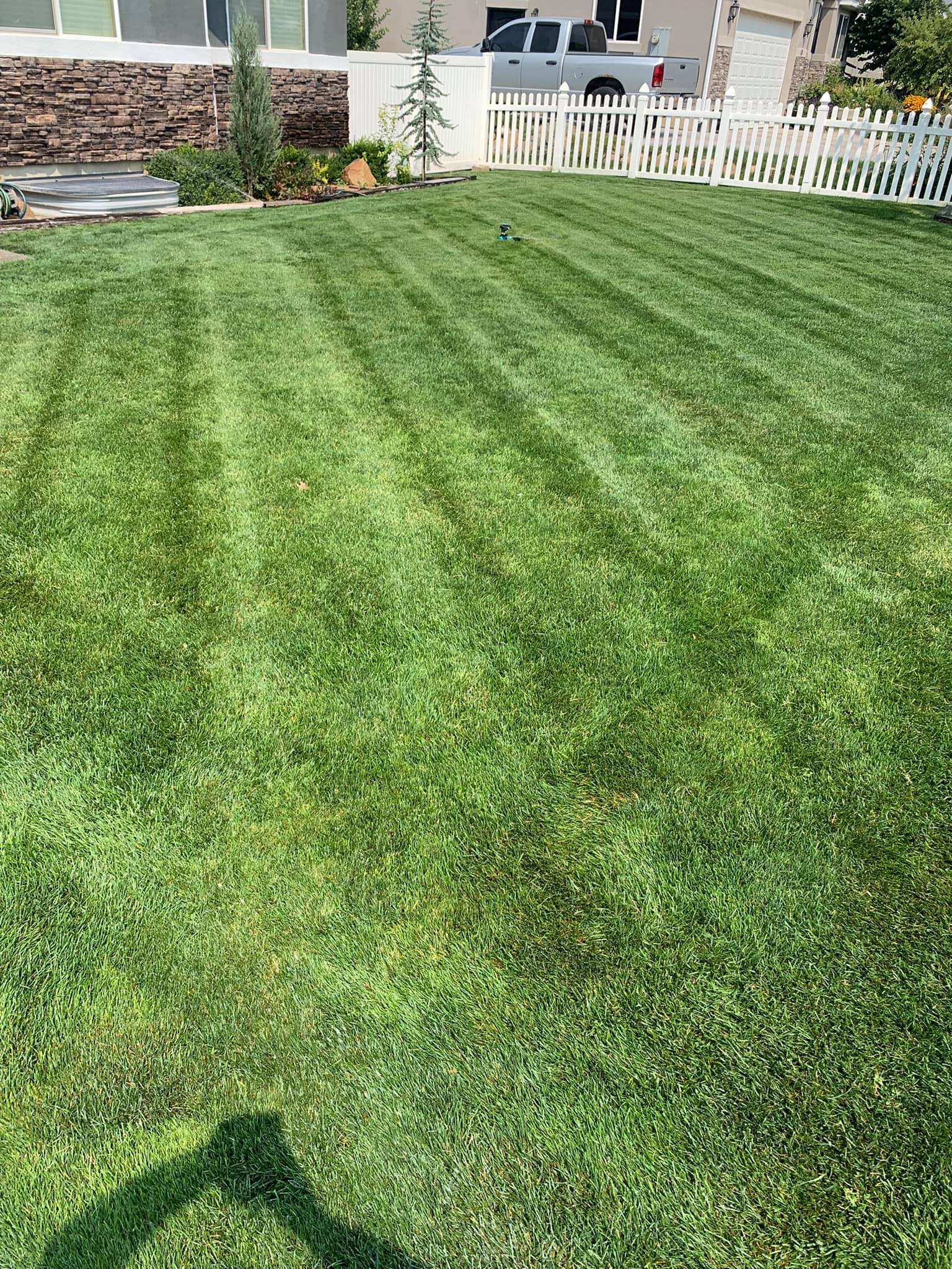  for Platinum Lawn Service in Santaquin, UT
