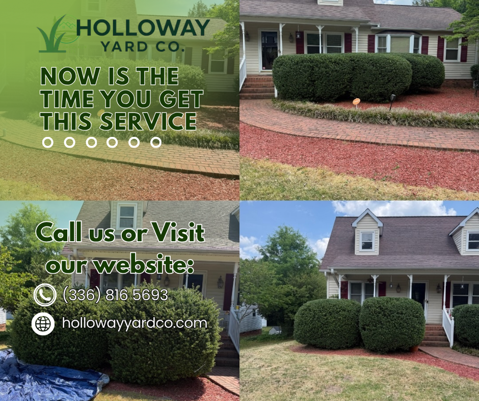  for Holloway Yard Company in Winston-Salem, NC