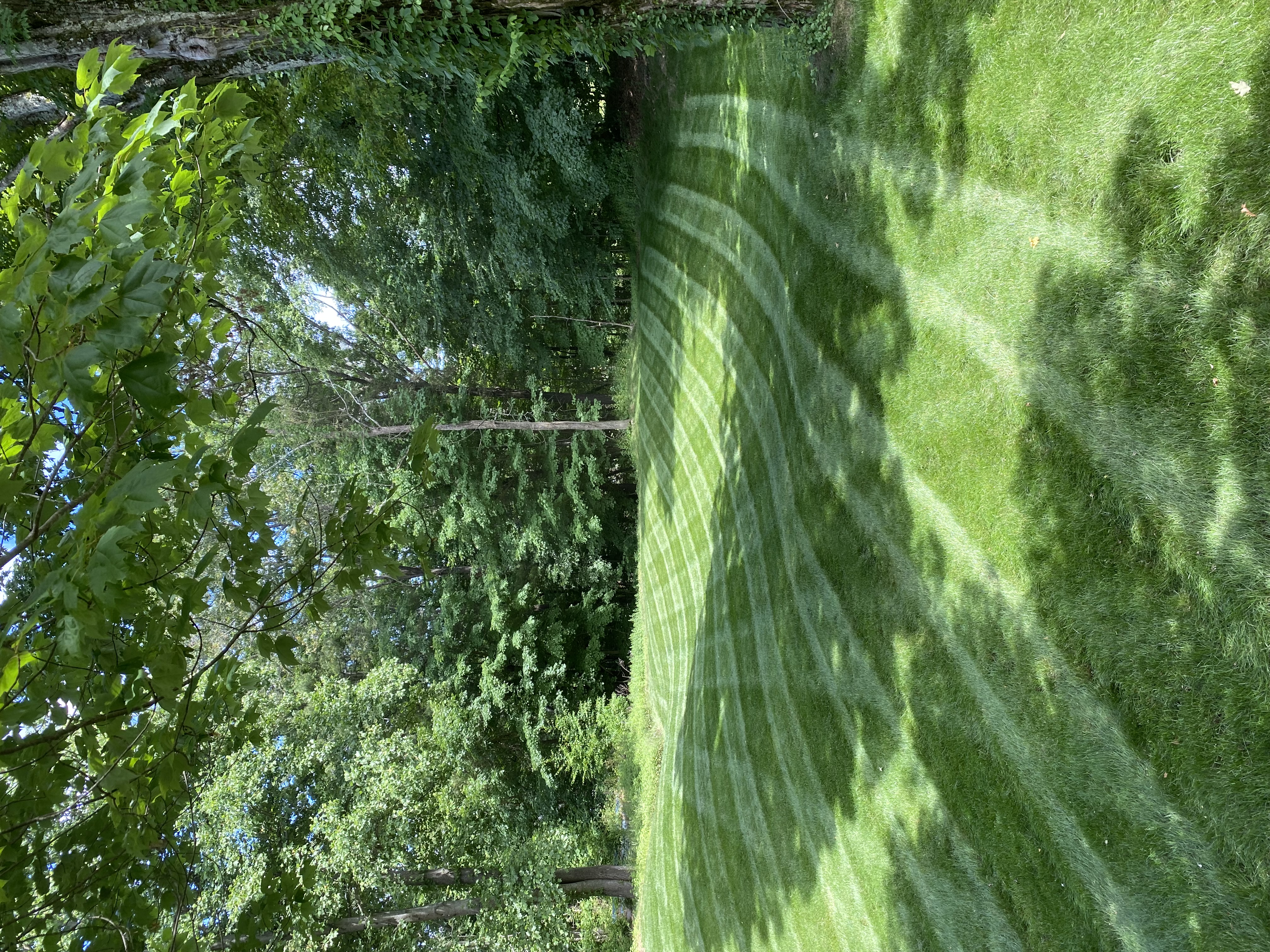 Stevenson Property Maintenance team in Cheshire, CT - people or person