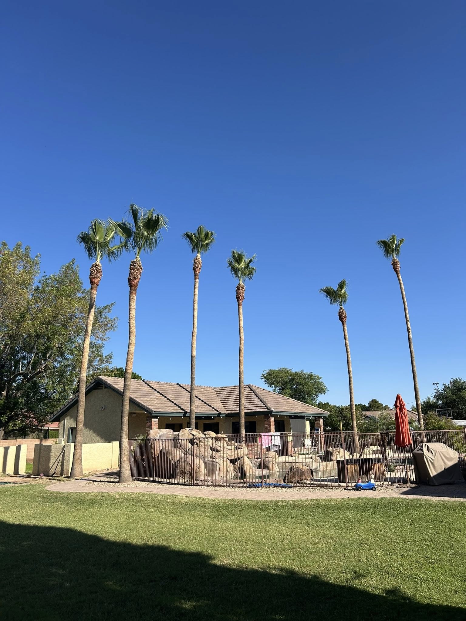  for Copperhead Solution in Phoenix, Arizona