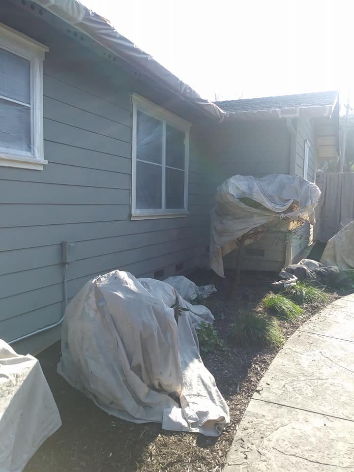  for Proyecto Bay Painting in Pittsburg, CA
