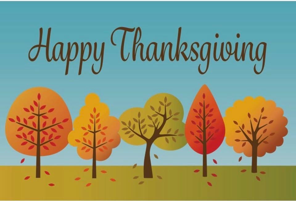  for Mr Timber in Ocala, FL