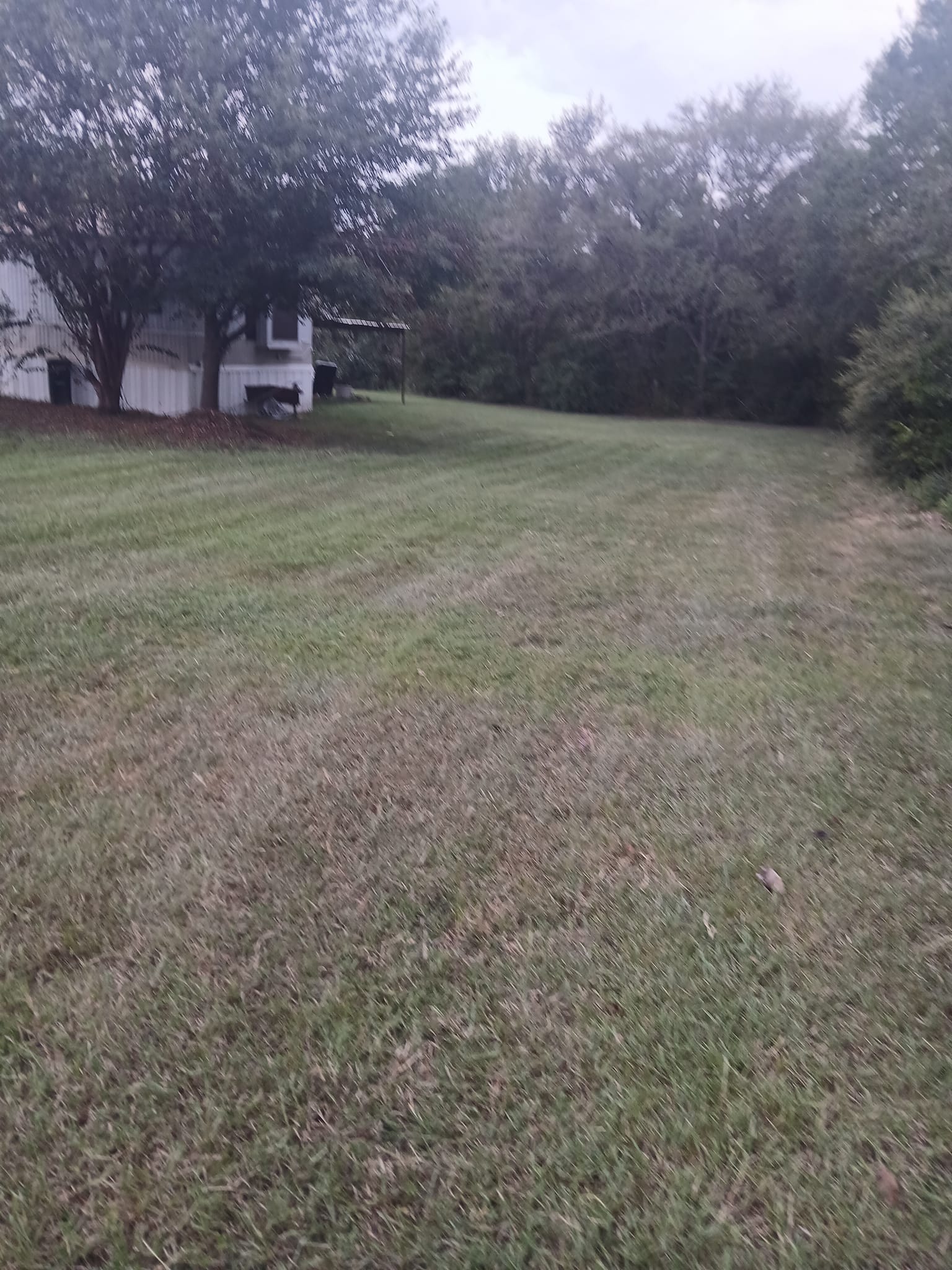 Landscaping company Aguilar Lawn Services in Bryan, TX