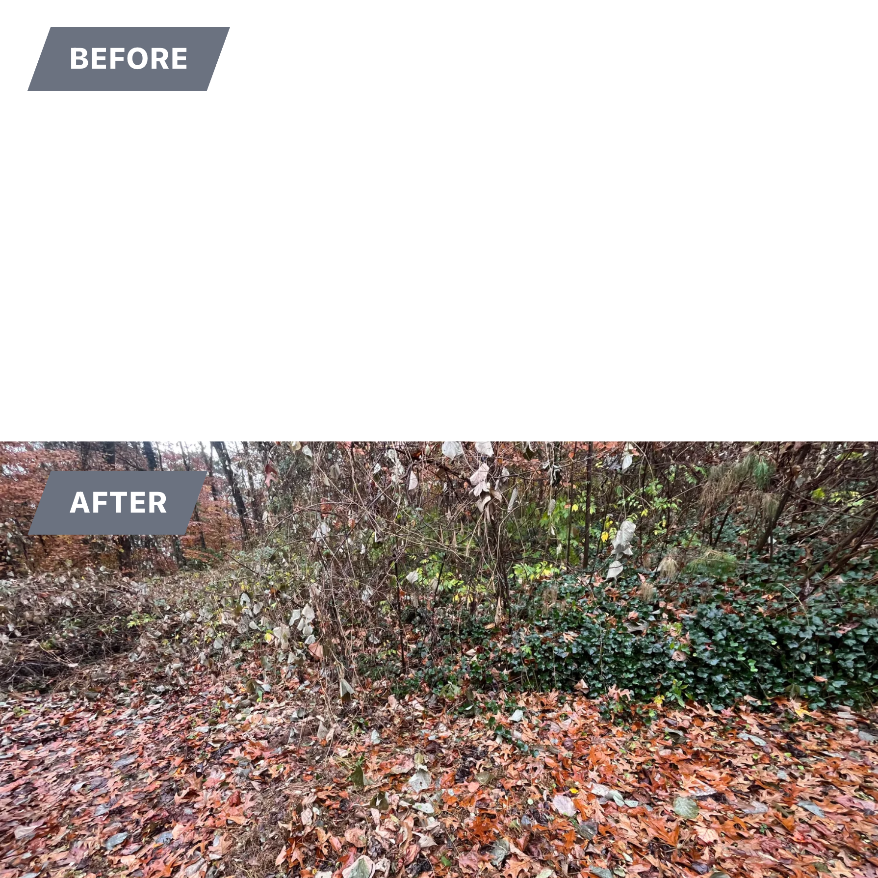  for Southern Solutions in Snellville, GA