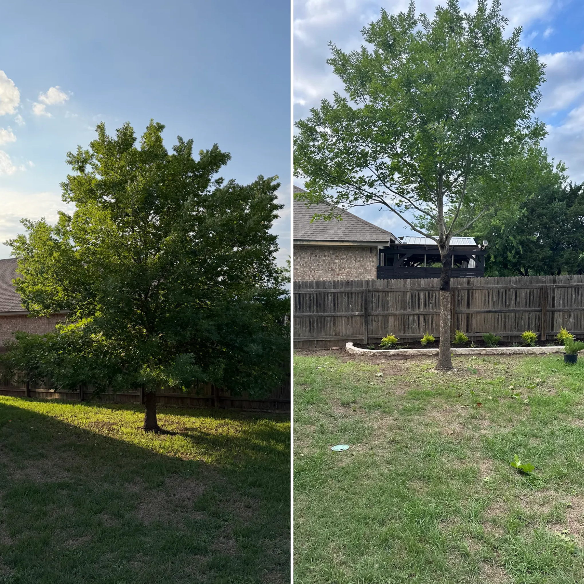  for DR Landscape in San Antonio, TX