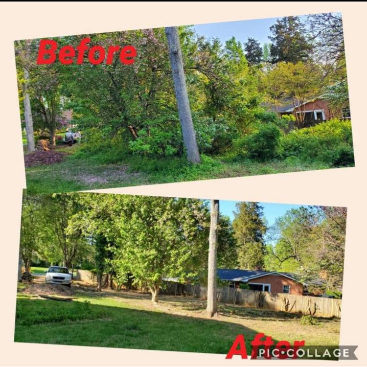 Landscaping company Olmedo Home Services in Davie County, NC