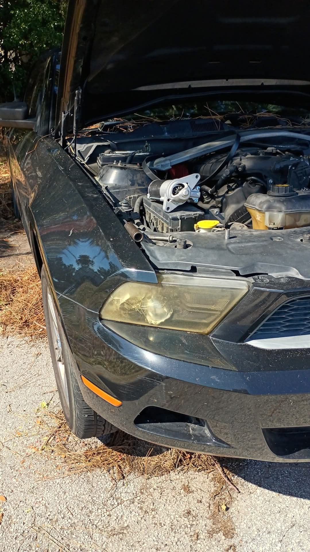  for Capula's Mobile Mechanic in Lakeland, FL