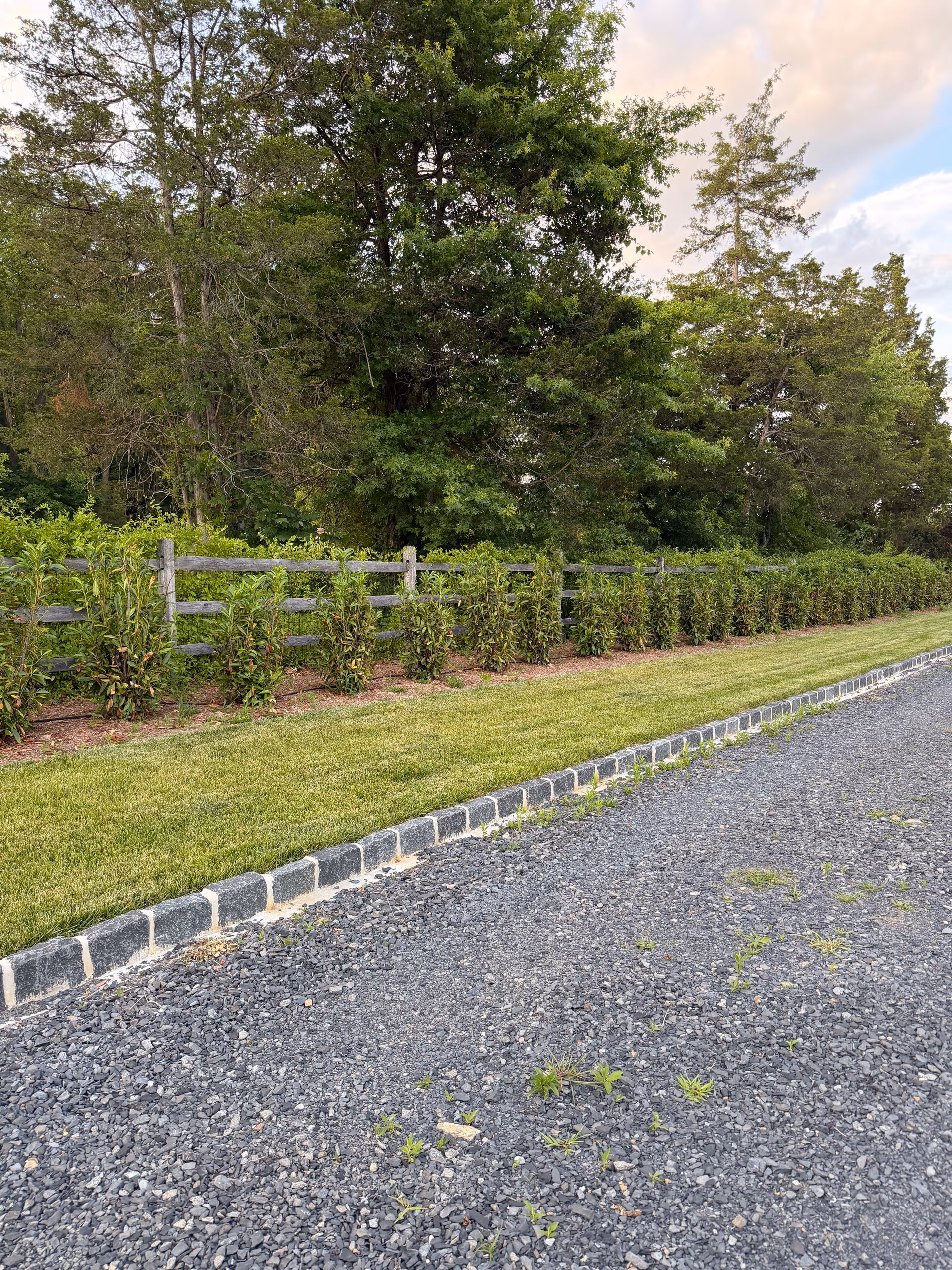 Privacy Hedges