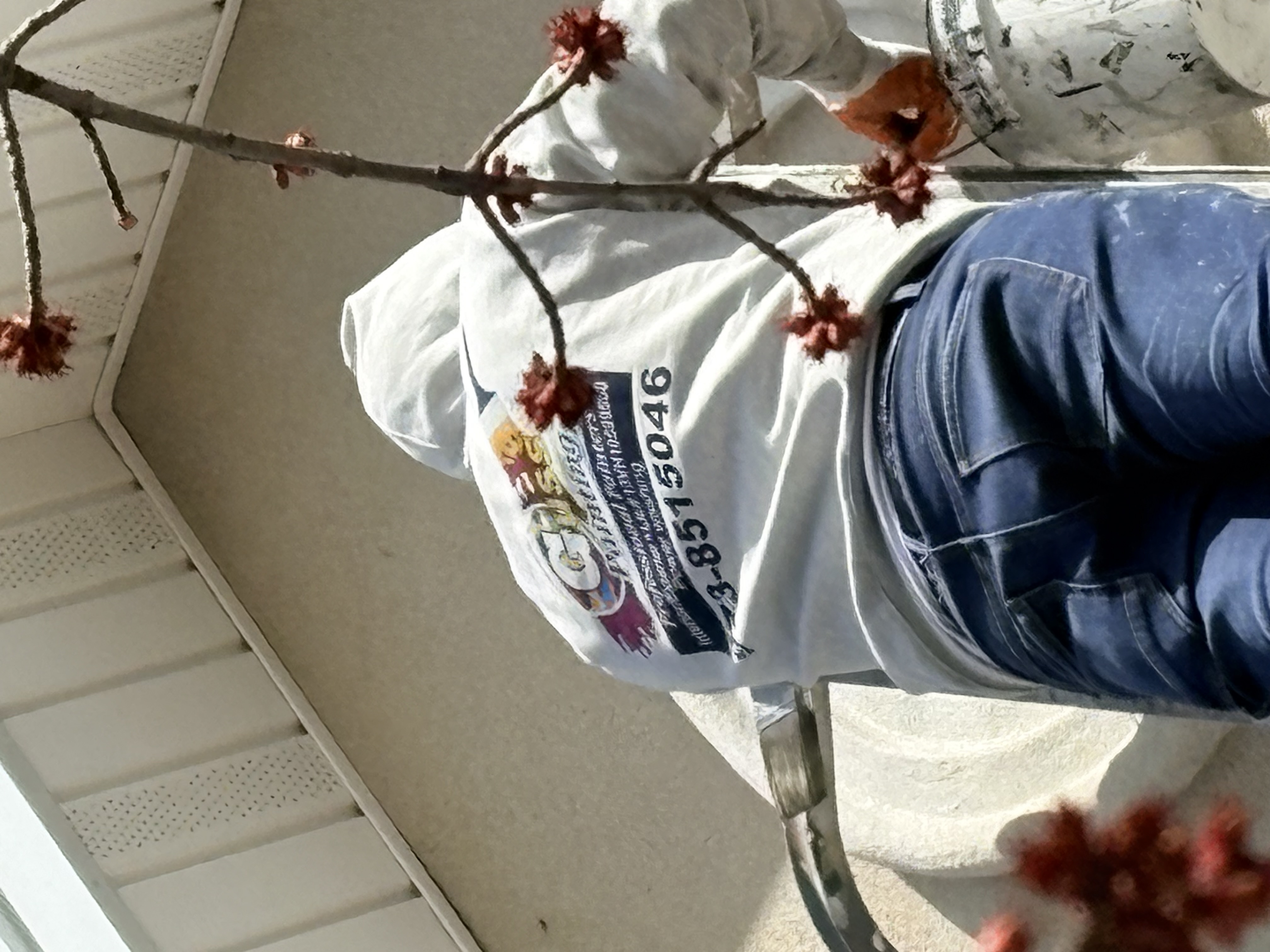  for Guss Professional Painting and Wallpaper in Allendale, NJ