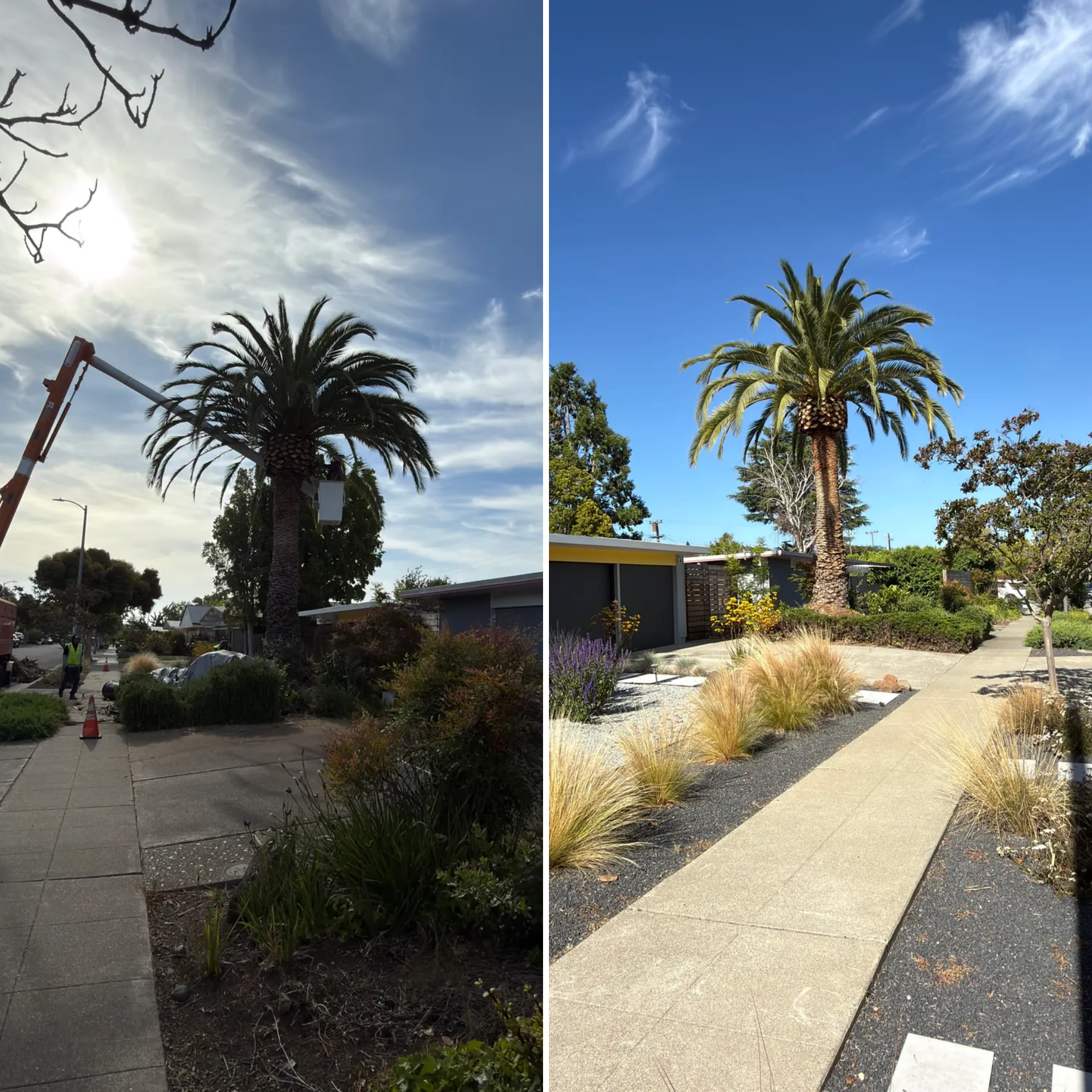  for A1 Tree Care LLC in San Jose, CA