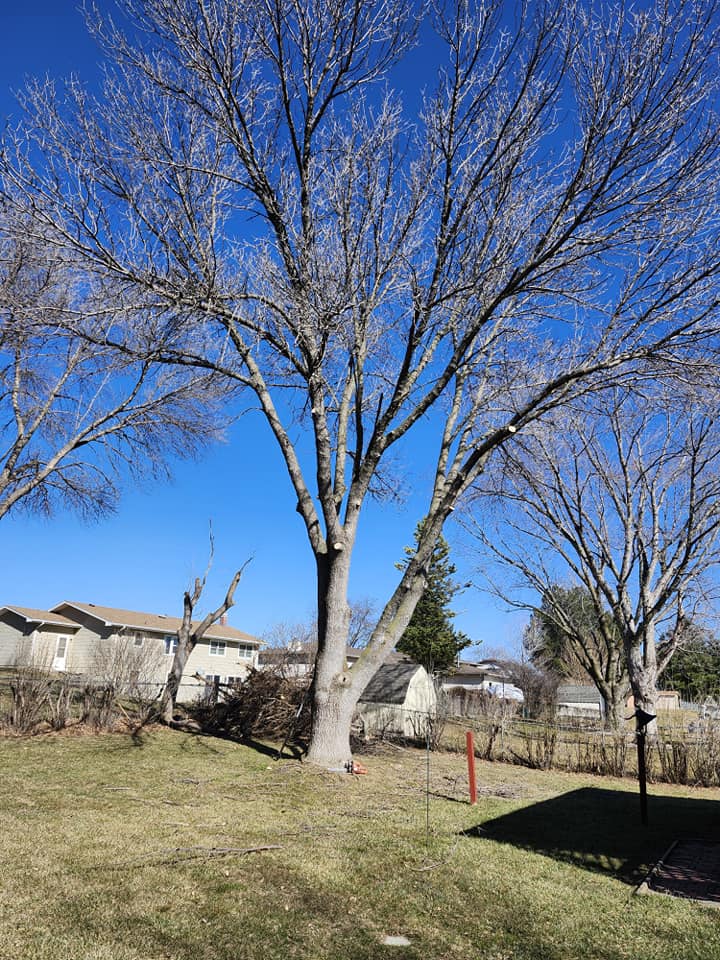  for Uprooted LLC in Norfolk, NE