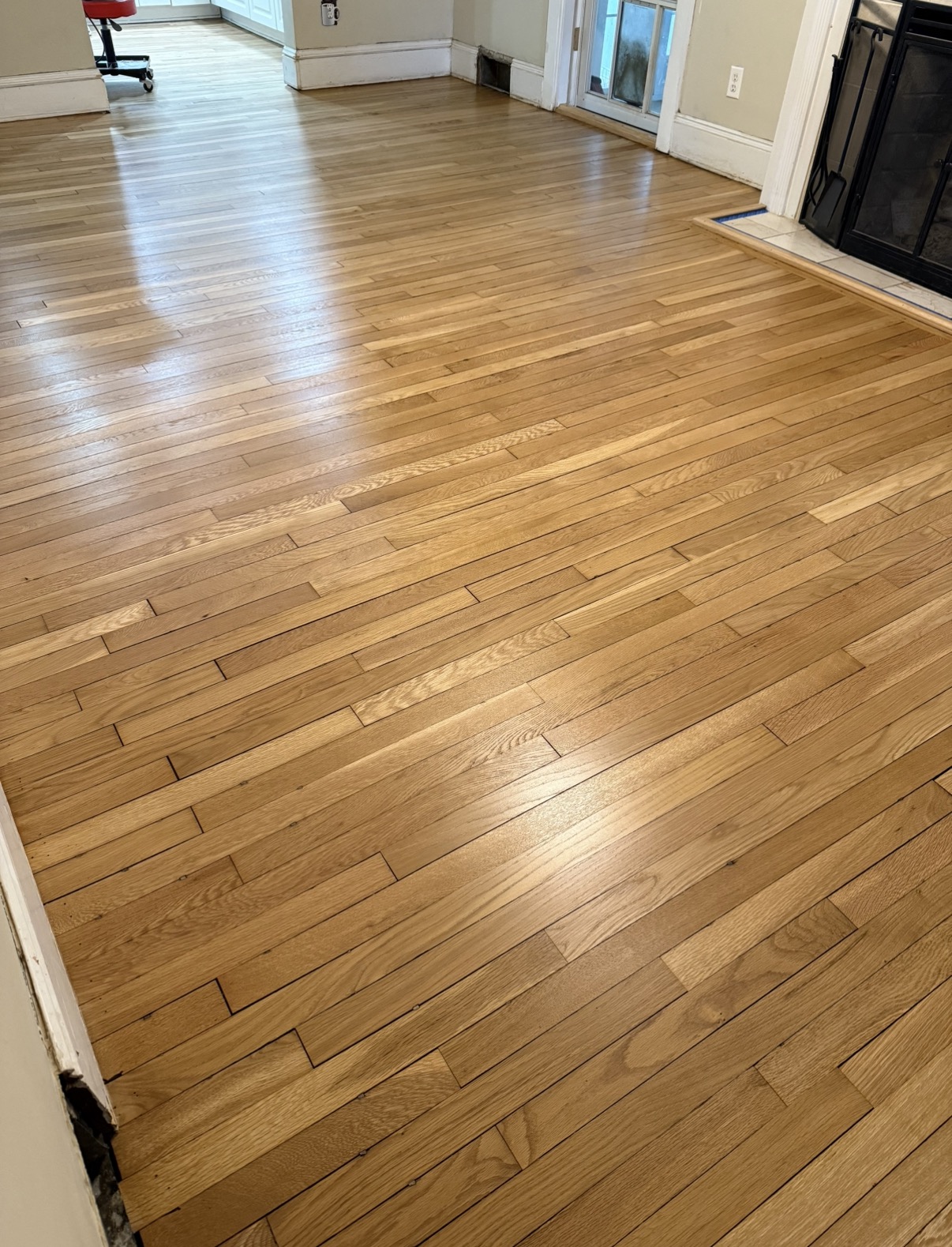  for Finely Finished LLC in Wyoming, DE