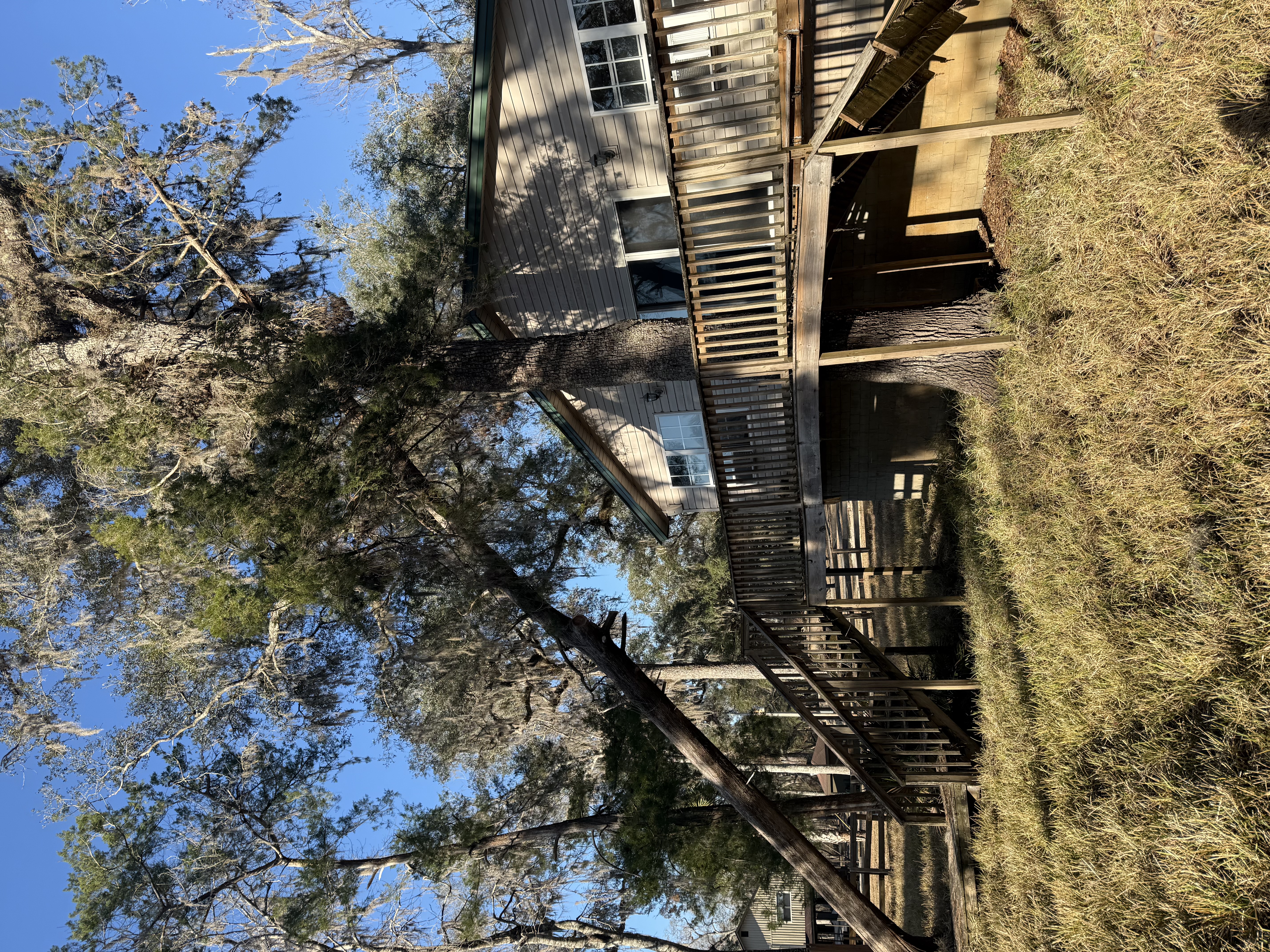  for Warners Tree Solutions in Live Oak, FL