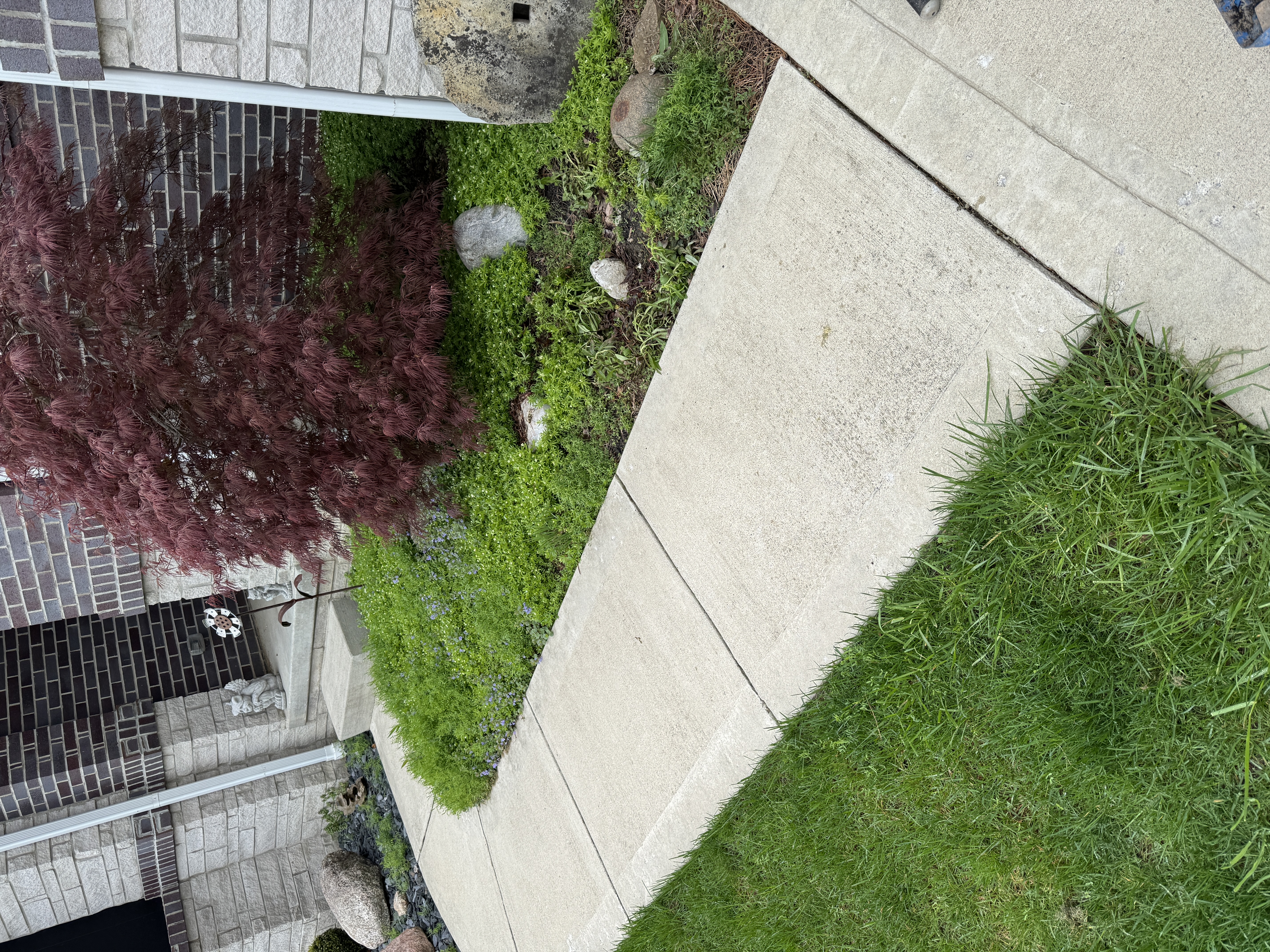  for Vasel's Landscaping Services in Medina, OH