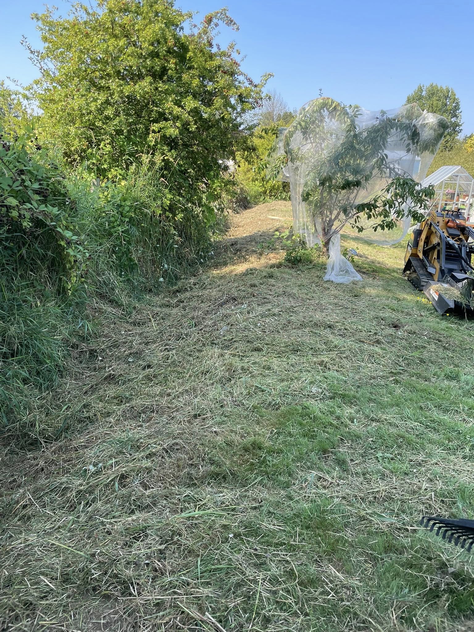  for Wilderness Stump Grinding in Orting, WA