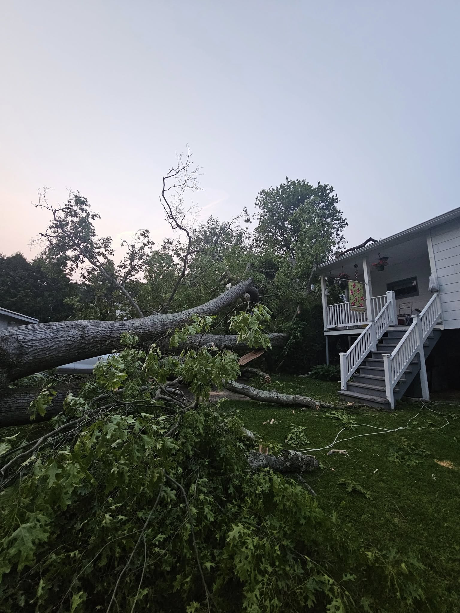  for AAA Tree Cutting in Shavertown, PA