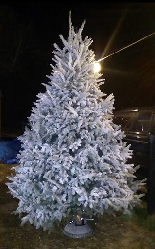  company BAM Another Pinestraw Lot in Flowery Branch, GA