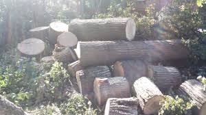  for Barricades  in Greenville, South Carolina