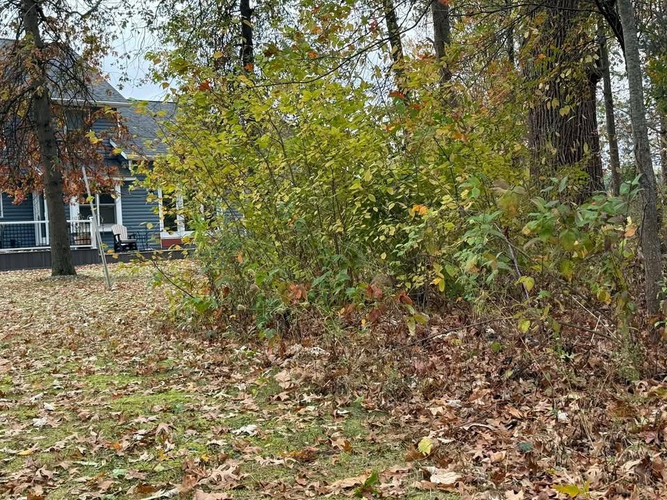  for F&R Landscapes in Lagrange, OH