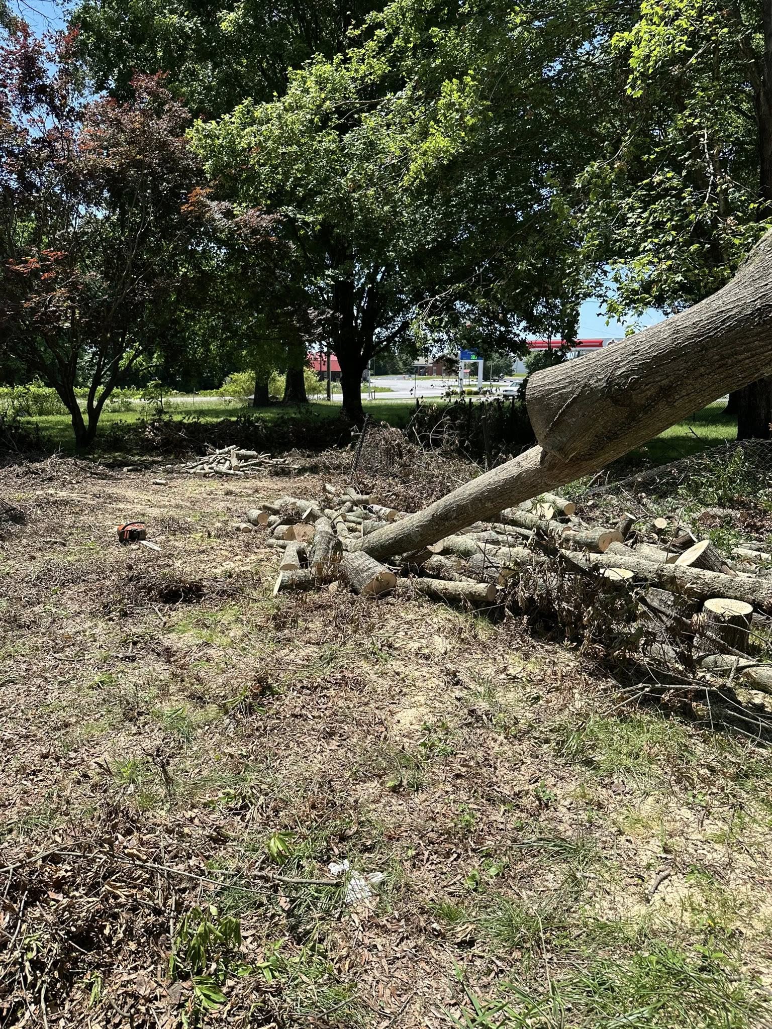  for Ramirez Tree Care in Elkin, NC