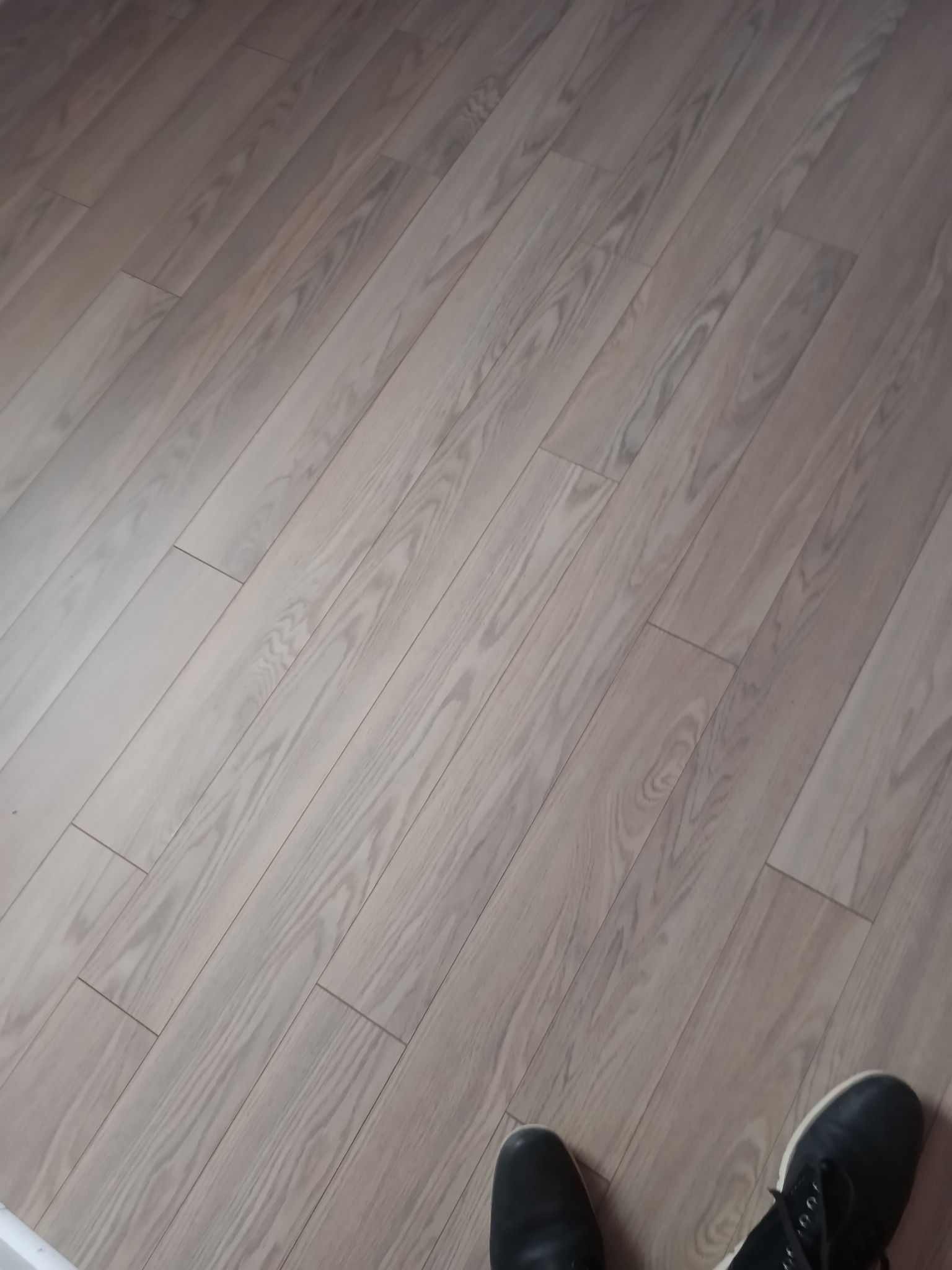  for Infinite Development and Management, LLC in Columbia, SC