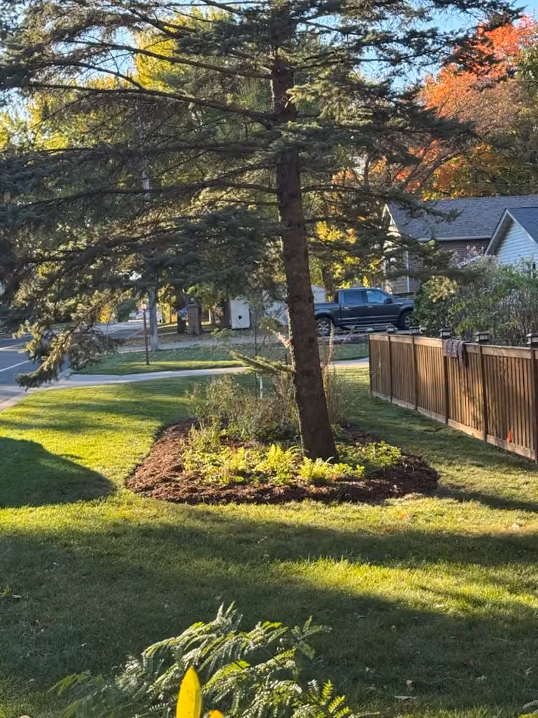 Beautiful Yard Enhancement in St. Paul