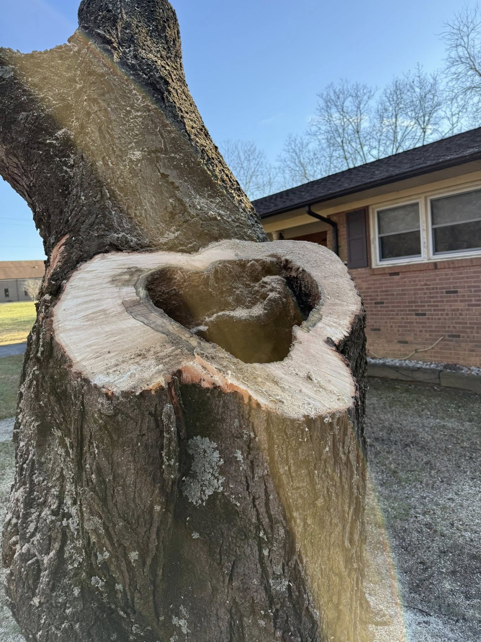  for Down South Tree Care and Landscaping in Maiden, NC