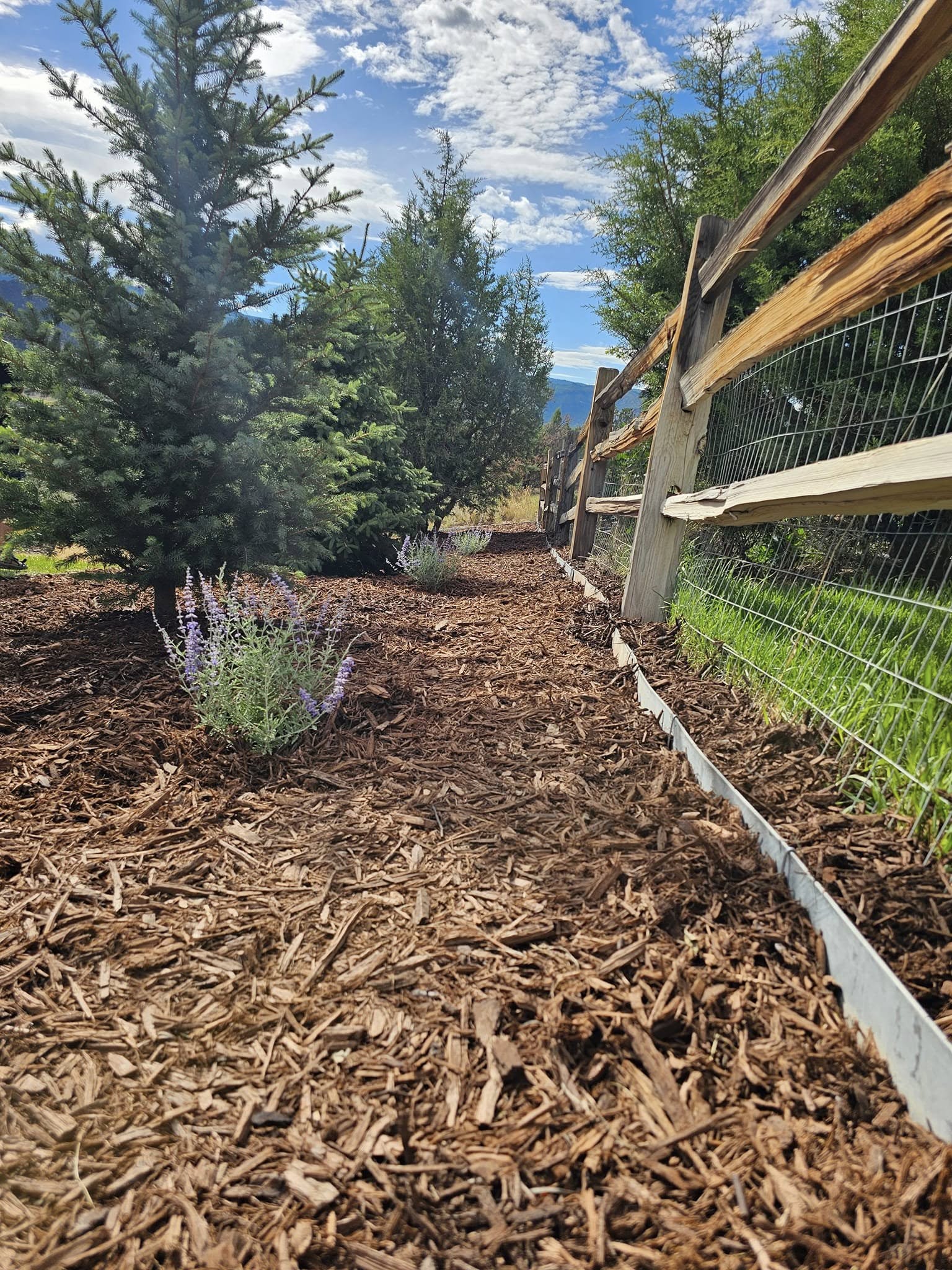 LRS: Landscape, Rescue, Snow team in Silt, CO - people or person