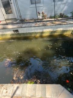  for Blue Bay Pools in Tampa, FL