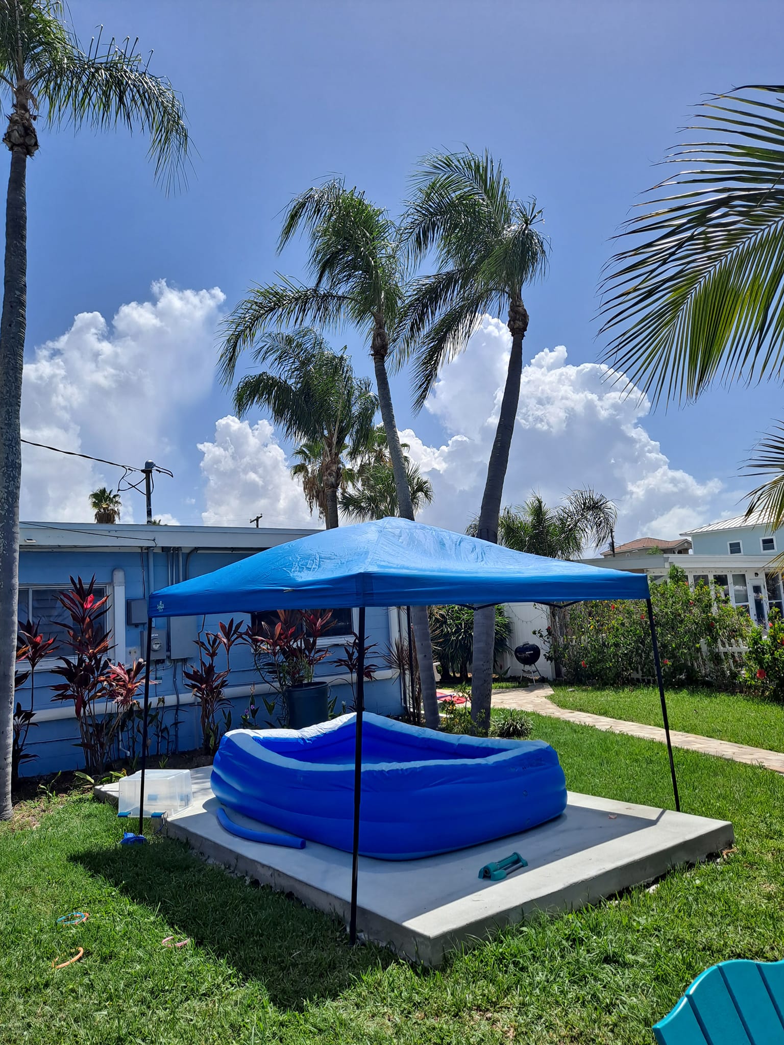  for Sanchez Tree Service in Largo, FL