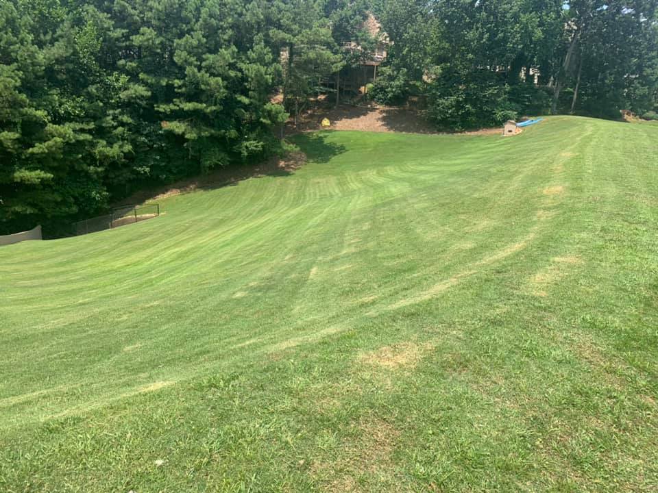 Landscaping company Bega Landscape Services in Atlanta, Georgia