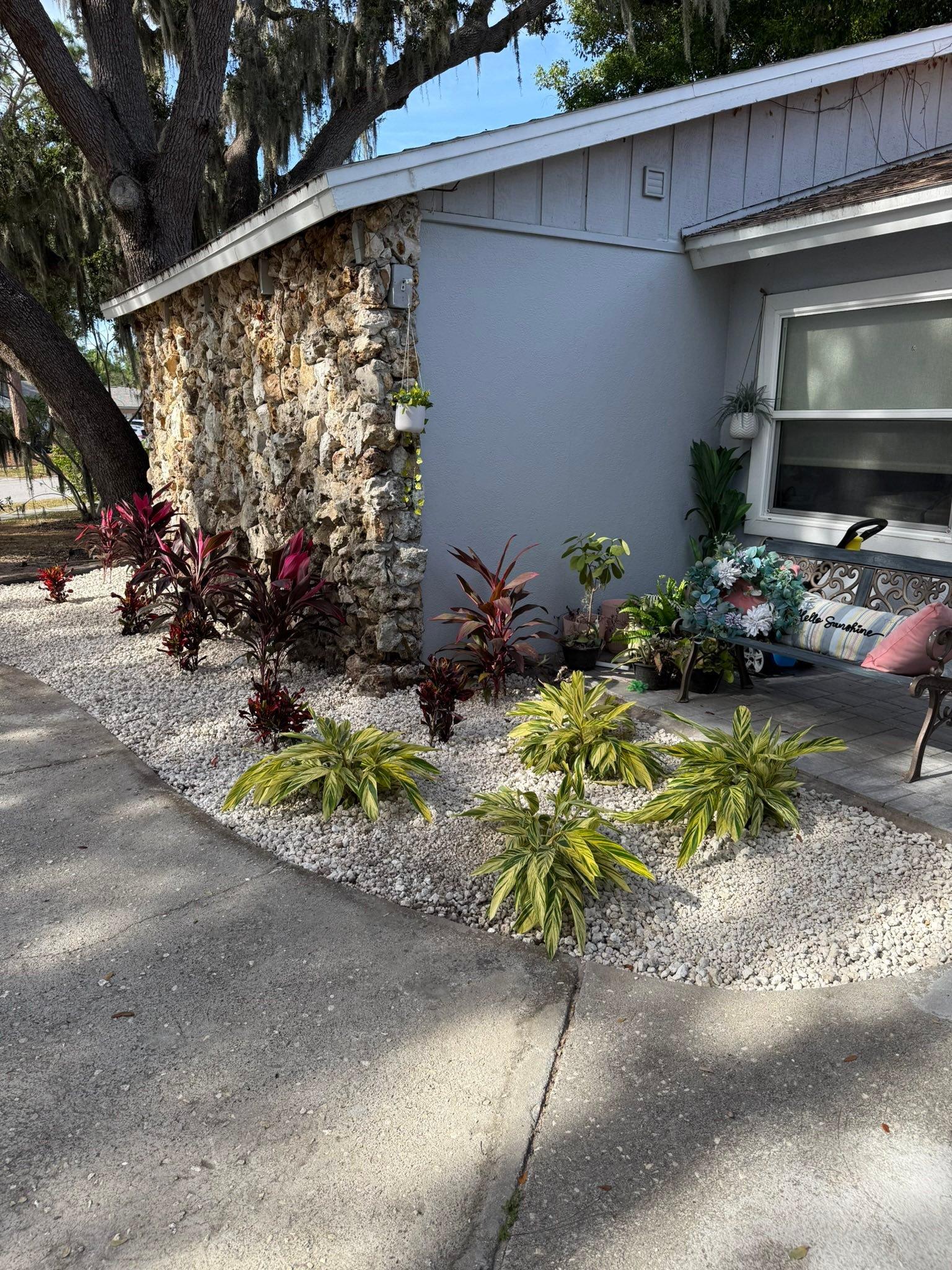  for Damian’s Tree Care in Sarasota, FL