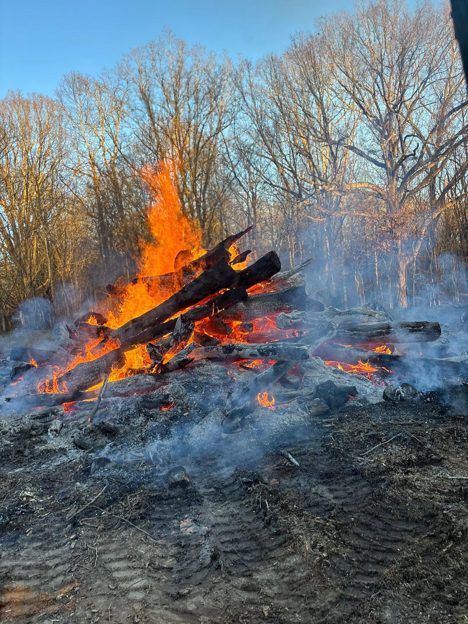  for TD Dirtworks in Tracy City, TN