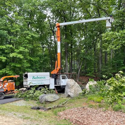 Baboosic Tree & Landscape team in Merrimack, NH - people or person