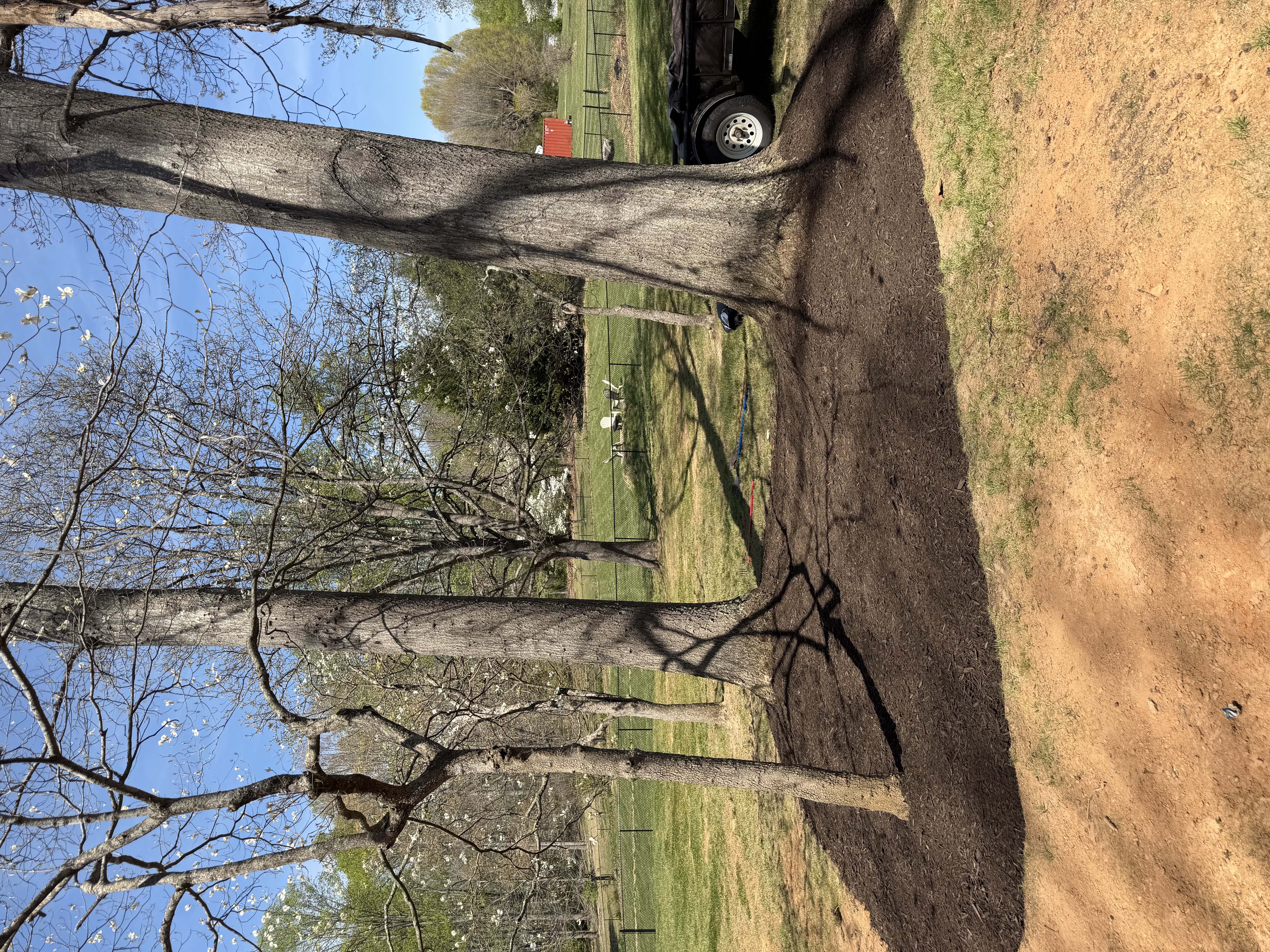  for John Lawns in Candler, NC