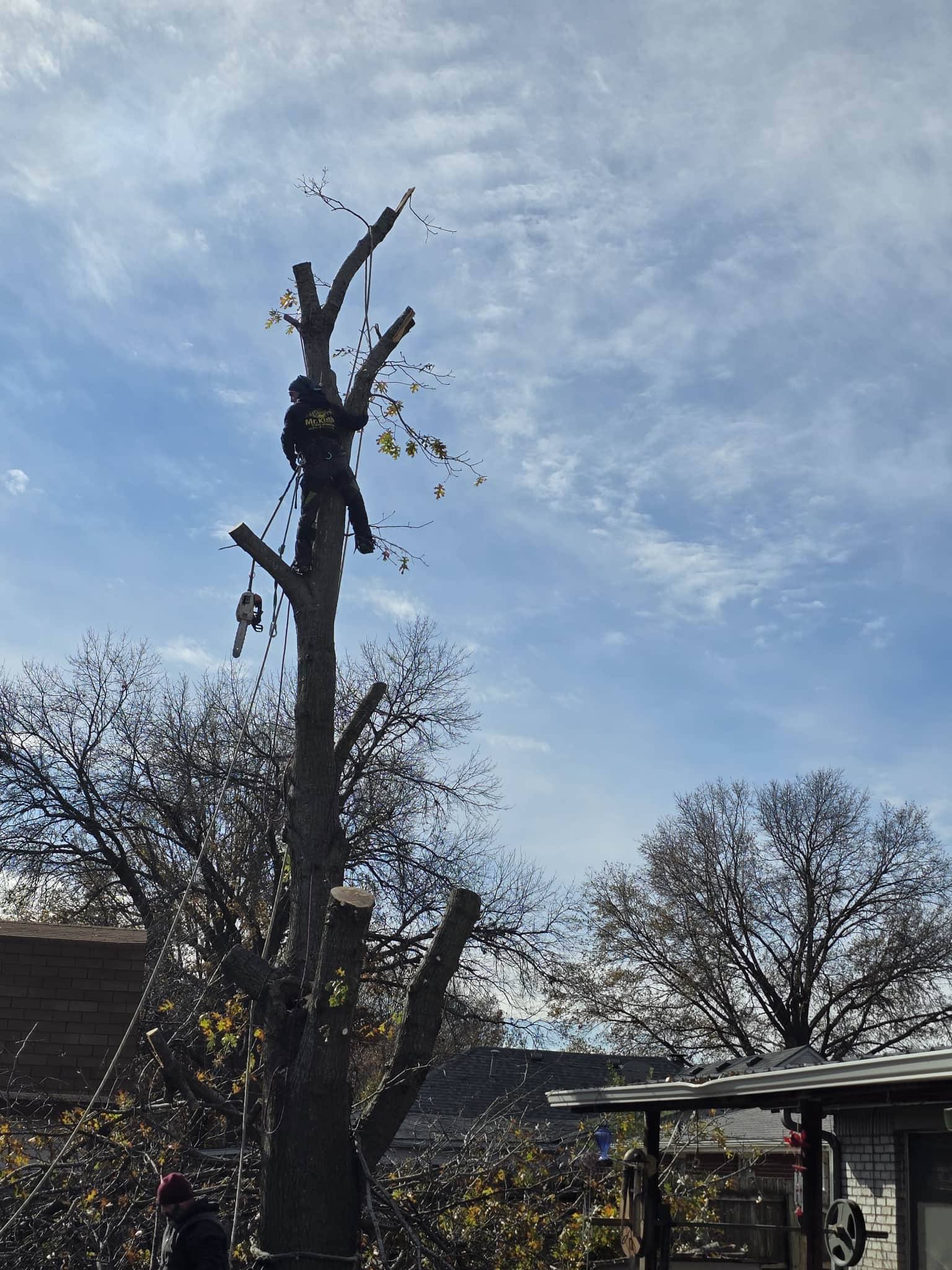  for Oklahoma Tree Guy in Bartlesville, OK