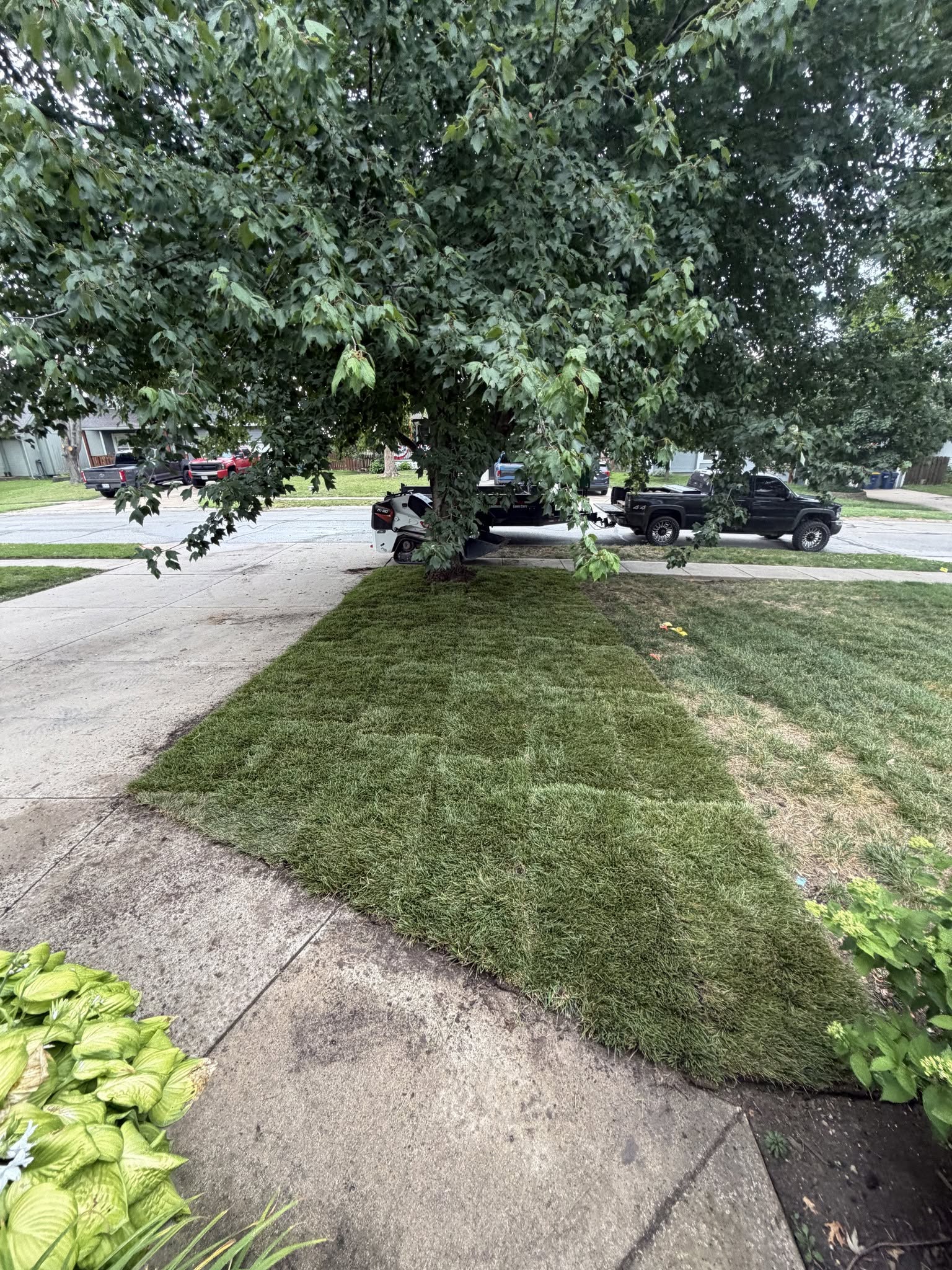 Sod installation in Overland Park, KS