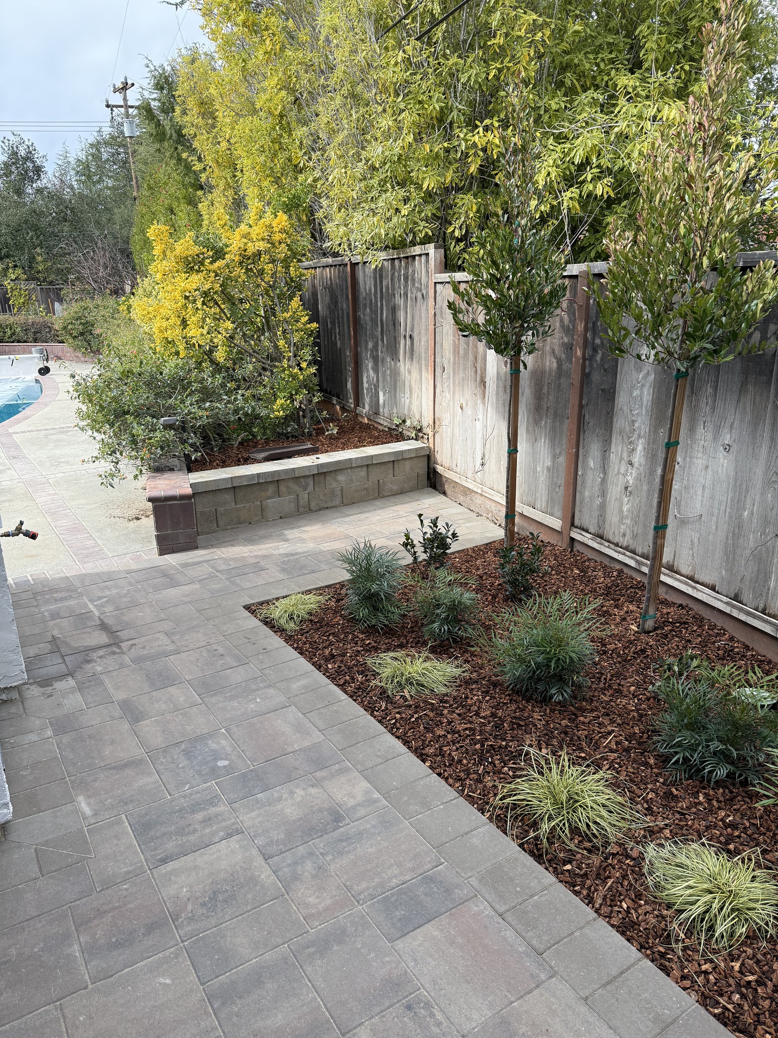 Perry's Landscape Design team in Saratoga, CA - people or person