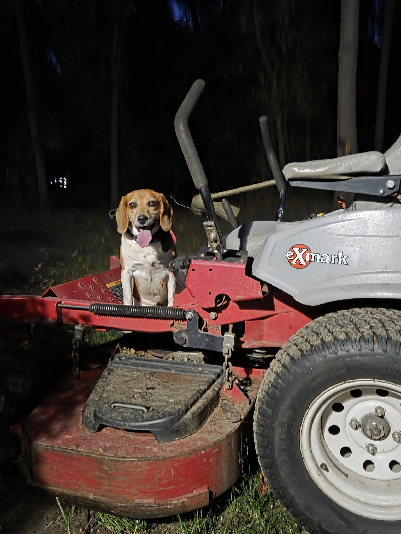 for Howell Hardscape Inc in Brighton, MI