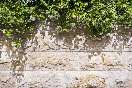  for PLS Stone & Masonry in Flagstaff, AZ