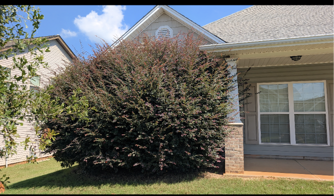  for Teacher Man Lawn Care in Easley, SC