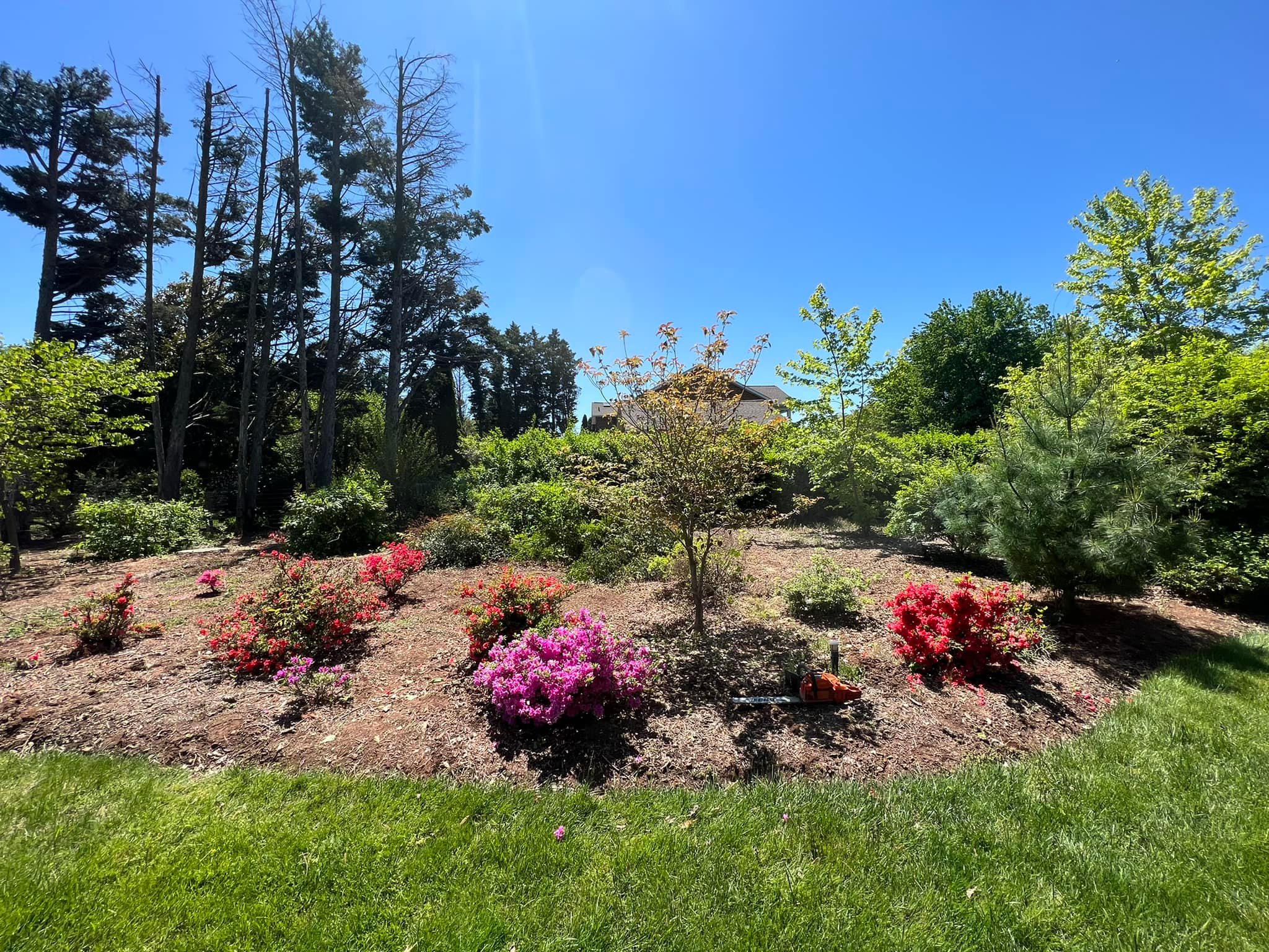 Ridgewood Lawn Care LLC team in Fredericksburg, VA - people or person
