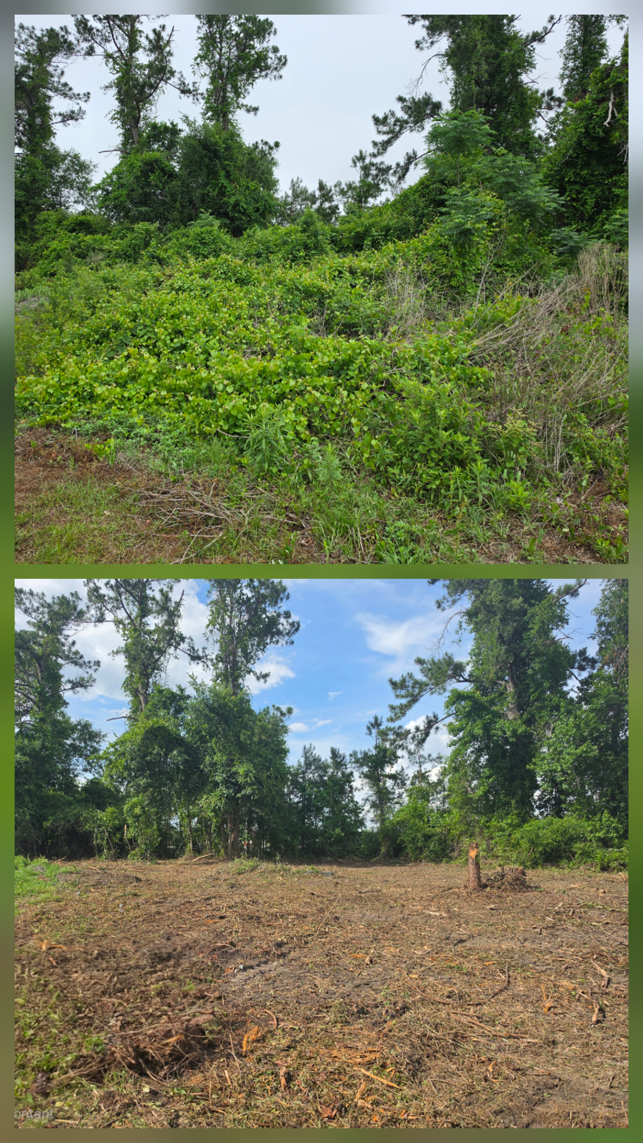  for Giles Land Management, LLC in Hahira, GA